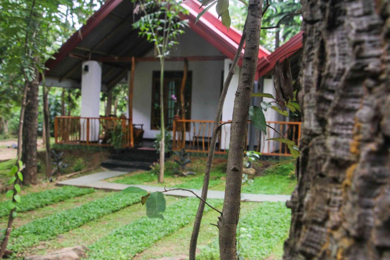 Victory Villa Sigiriya Exterior photo