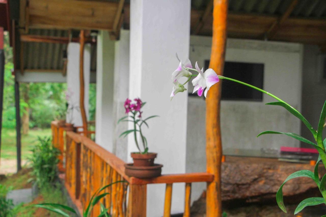 Victory Villa Sigiriya Exterior photo